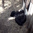 ���� �������, �������, 53 ���� - ��������� 6 ���� 2018 � ������ ���� ����������