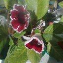 ���� ����, ��������� - ��������� 31 ��� 2018 � ������ ���� �����������