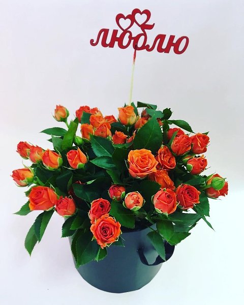 Подарочные наборы от Elizabeth & Ingrid помогут Вам избавиться от изматывающей суматохи при поиске ... - 4