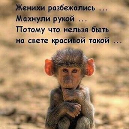 ���� ����, ������, 57 ��� - ��������� 2 ������� 2017