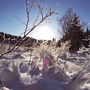 ���� �����, ����������� - ��������� 16 ������ 2018 � ������ ����������� ����� �� ����������� ����� 2017-18�