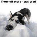 ���� �����, �������, 49 ��� - ��������� 4 ������ 2018 � ������ ������ ��������