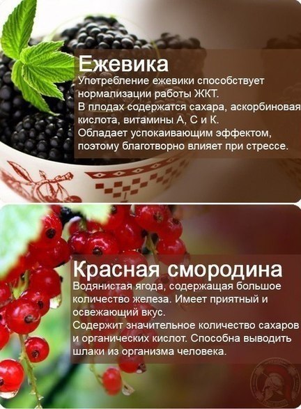      - 3