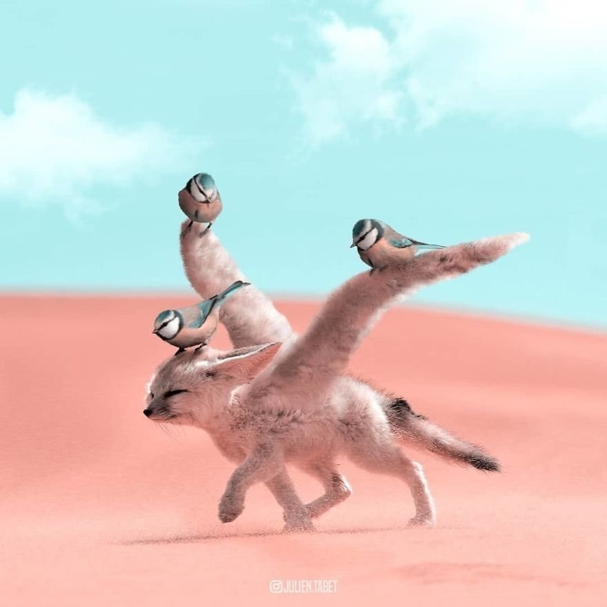  Julien Tabet - 10