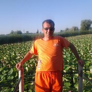 �����, , ������