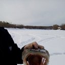 ���� �������, ������ �����, 41 ��� - ��������� 8 ���� 2018 � ������ ���