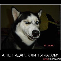 Sam, ������������, 30 ���