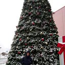 ���� ������, �����-���������, 37 ��� - ��������� 18 ������� 2018 � ������ ���� ����������