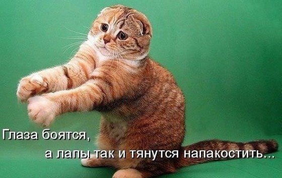 � ����� �����! - 15 ������ 2018 � 17:02