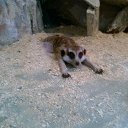  Viktoria, , 47  -  14  2018    