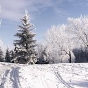 ���� ��������, ��������, 55 ��� - ��������� 24 ������ 2018 � ������ ������ ��������