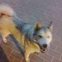 ���� ������, ������, 45 ��� - ��������� 12 ���� 2018