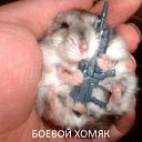 ���� ������, ������������ - ��������� 12 ������� 2017 � ������ ���� ����������