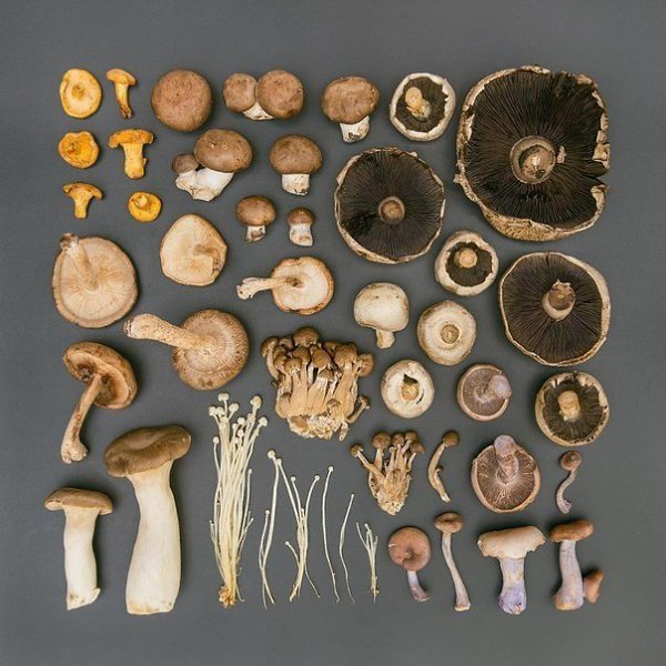  - Emily Blincoe - 9