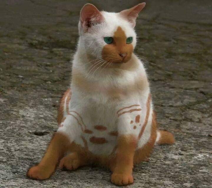   !...    