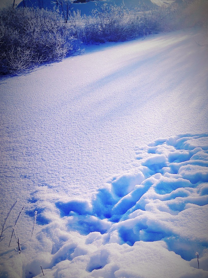       !!! - 10