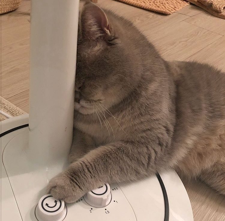   , .   ,  . - 2