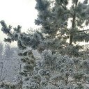 ���� �����, ���������, 67 ��� - ��������� 14 ������ 2018 � ������ ���� ����������