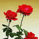 ���� �������, �������, 50 ��� - ��������� 22 ������� 2018 � ������ ���� ����������