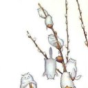 ���� ������, �����-���������, 55 ��� - ��������� 2 ����� 2018 � ������ ������ ��������