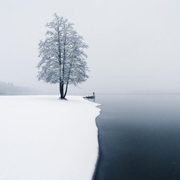    ! - 11  2018  03:40