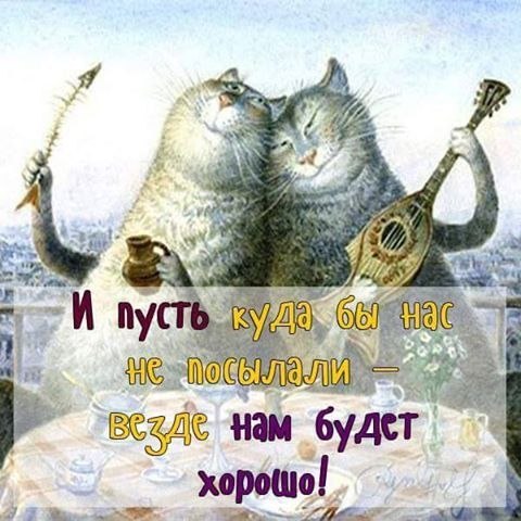   - 24  2018  06:09