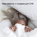 ���� ˸��, ������ - ��������� 11 ������� 2017 � ������ ������ ��������