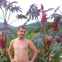 ���� �������, �����������, 48 ��� - ��������� 3 ���� 2018 � ������ ���� ����������