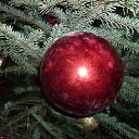  -   !,  -  23  2017      23.12.2017