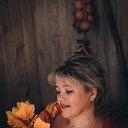 �������� 2017 �� ������� ���� ����������