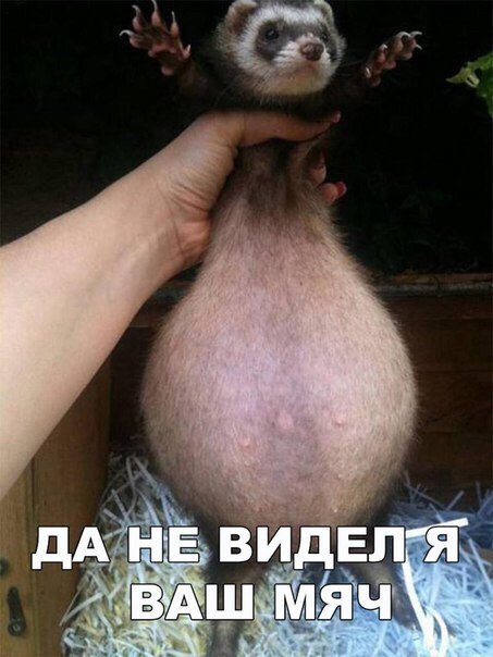  - 23  2018  03:43