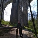 ���� ������, �������, 52 ���� - ��������� 8 ���� 2018 � ������ ���� ����������