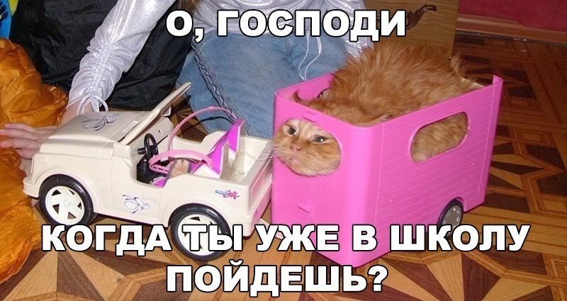    :D - 15  2018  02:56