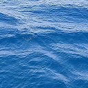 ���� �������, �����, 40 ��� - ��������� 27 ���� 2018