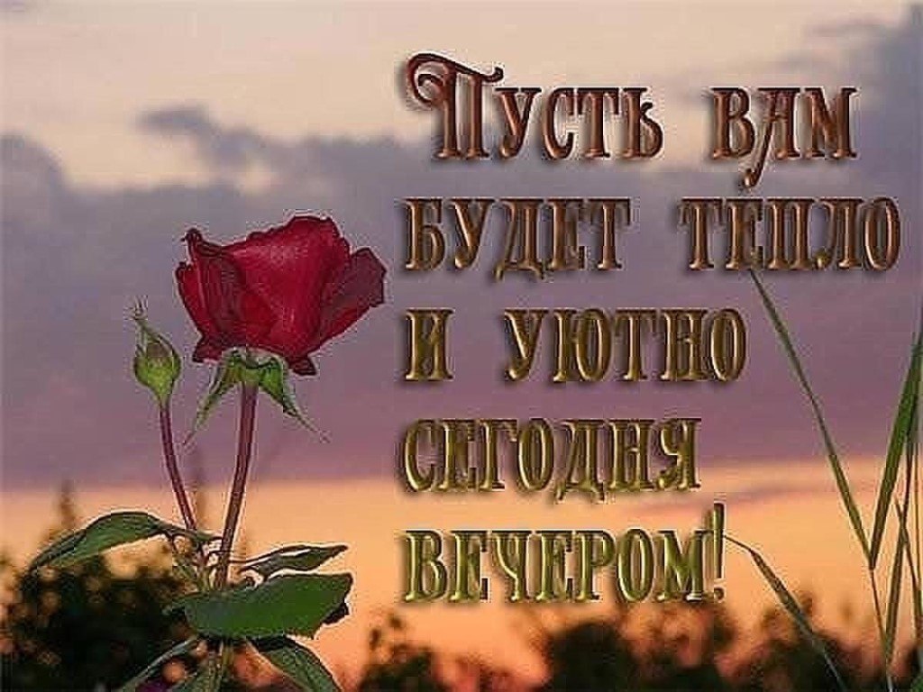 Кафе "У пани Сони"