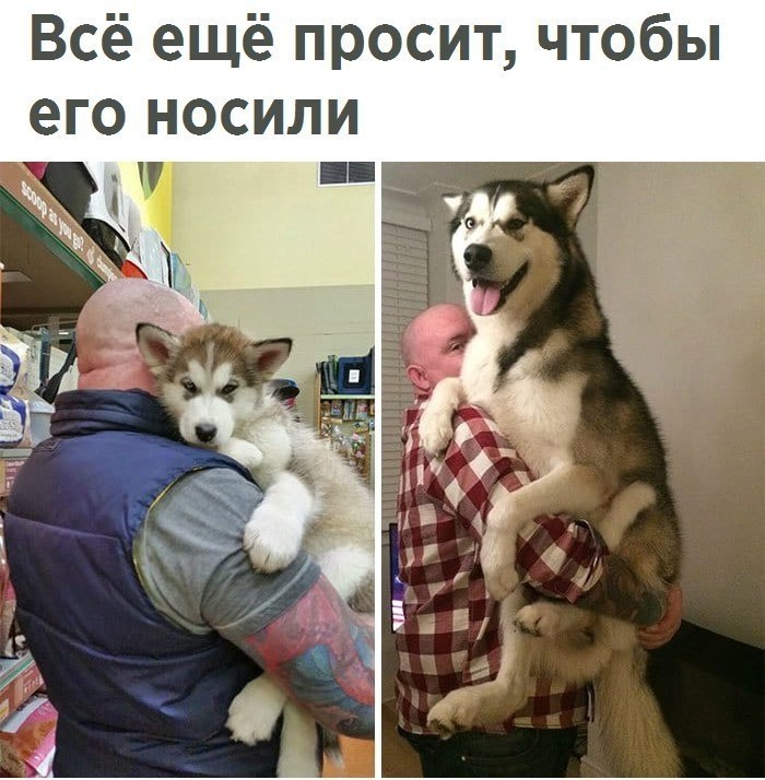    - 5  2017  03:34