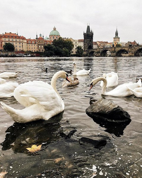 Prague, Czech Republic - 6