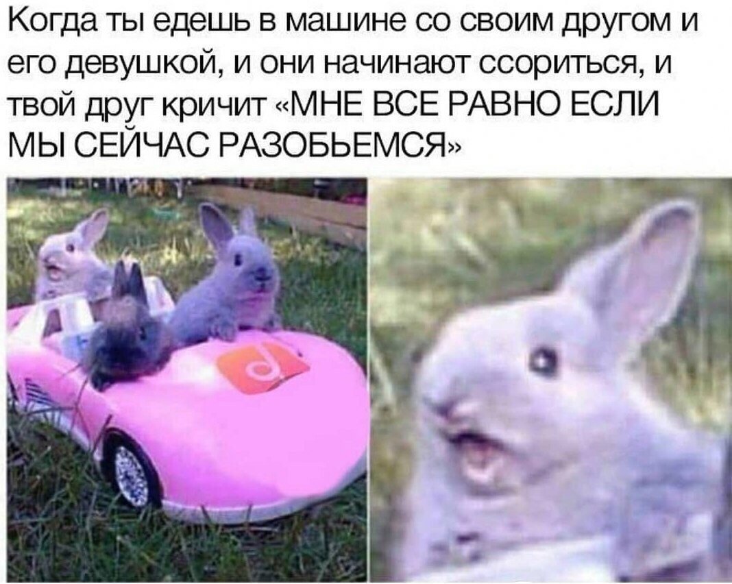    - 9  2018  03:48