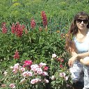 ���� �������, ������� - ��������� 29 ������ 2018 � ������ ������ ��������