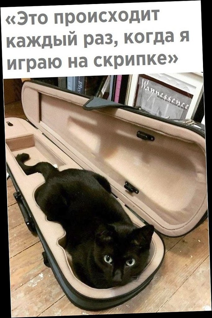   - 23  2018  02:54