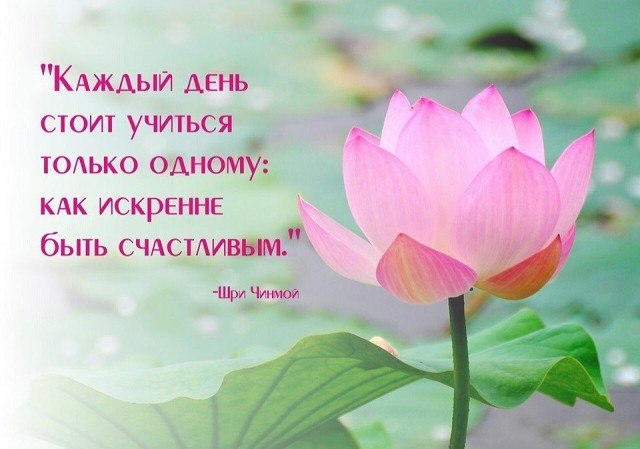Стараюсь не хандрить, не обижаться.На время, что ведет меня по краю. Я счастлива, что мне не ...