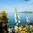    .   Geneve Montreux Lausanne Annecy(10.05-16.05.2018)