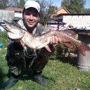 ���� ����, �����, 40 ��� - ��������� 28 ������� 2018 � ������ ���� ����������