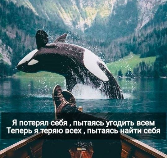  | ,  - 11  2018  04:06