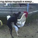 ���� ����, ����, 70 ��� - ��������� 11 ������� 2018 � ������ ������ ��������