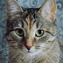 ���� ����������, ������ �������� - ��������� 8 ���� 2018