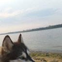 ���� Daniel, ʸ���, 50 ��� - ��������� 11 ���� 2018