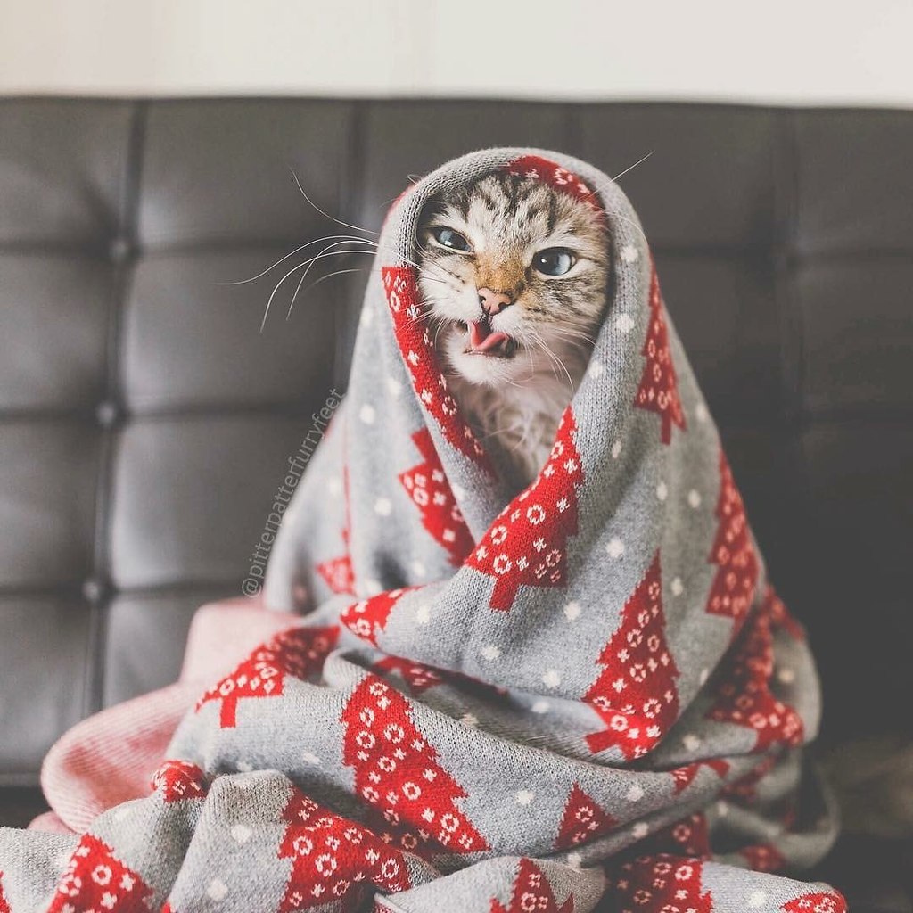  - ,  ,     :3 - 2