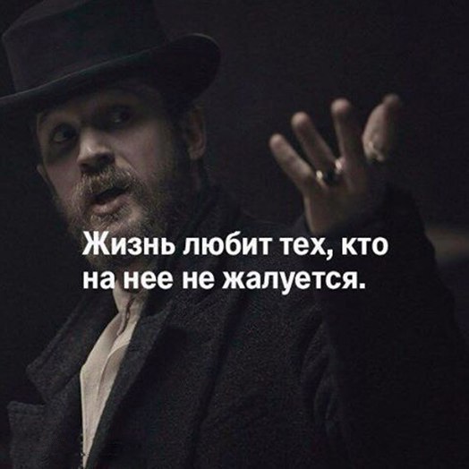BEST | , ,  - 23  2017  03:53