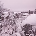 ���� ������, �������, 33 ���� - ��������� 8 ������ 2018 � ������ ������ ��������